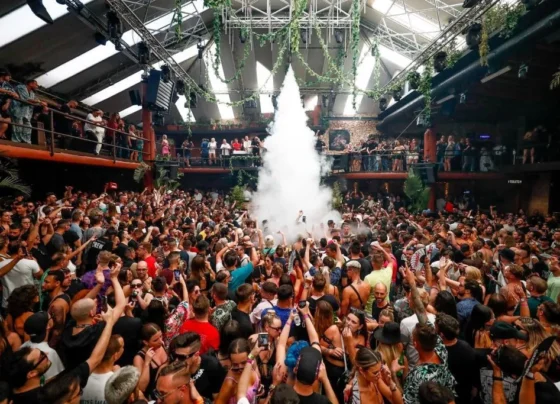 Amnesia